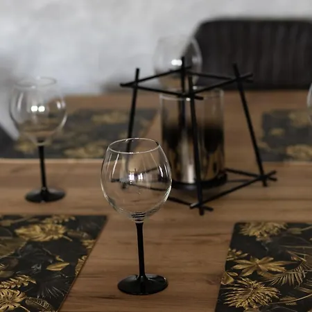 Czarny Flaming Apartmán Szczawnica